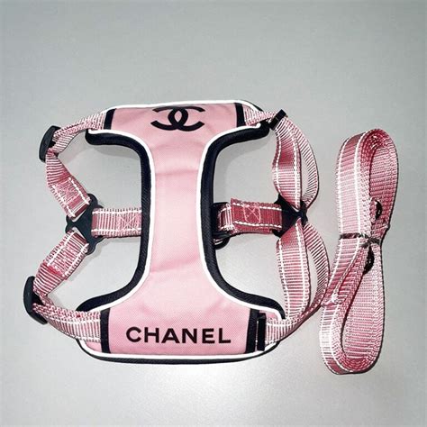 dog chanel clothes|designer dog collars chanel.